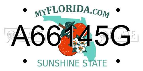 A66145G Florida License Plate
