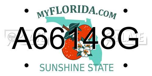 A66148G Florida License Plate