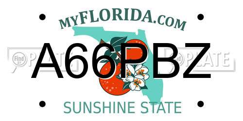 A66PBZ Florida License Plate
