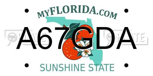 A67GDA Florida License Plate