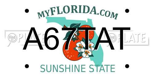 A67TAT Florida License Plate