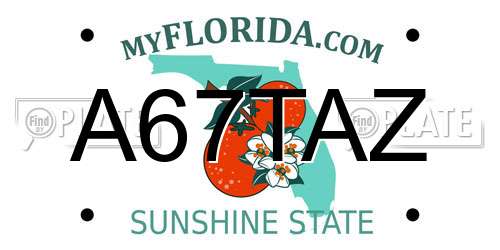 A67TAZ Florida License Plate
