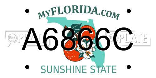 A6866C Florida License Plate