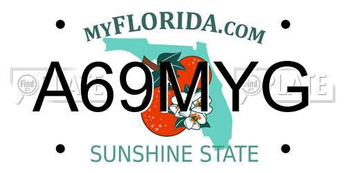 A69MYG Florida License Plate