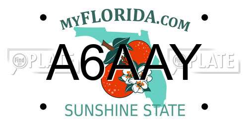A6AAY Florida License Plate