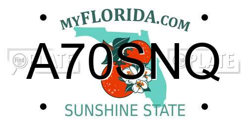 A70SNQ Florida License Plate