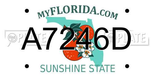A7246D Florida License Plate