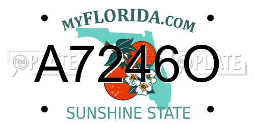 A7246O Florida License Plate