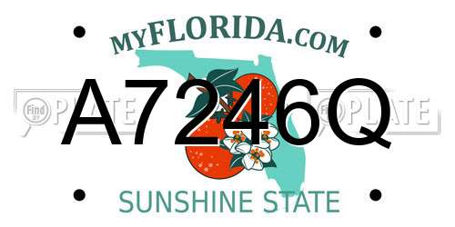 A7246Q Florida License Plate