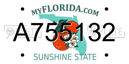 A755132 Florida License Plate