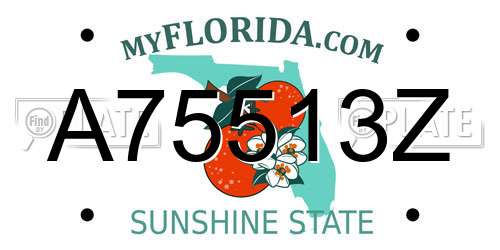 A75513Z Florida License Plate