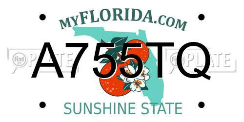 A755TQ Florida License Plate