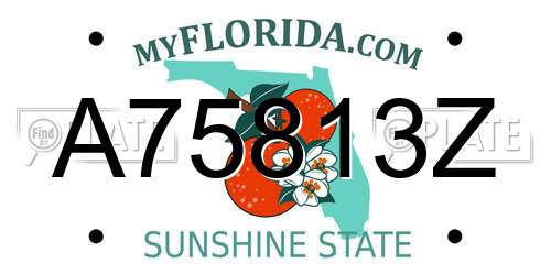 A75813Z Florida License Plate