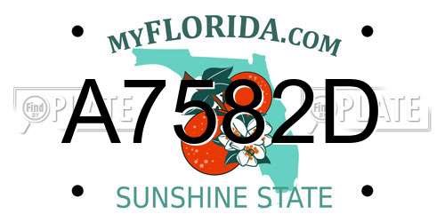A7582D Florida License Plate