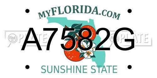 A7582G Florida License Plate