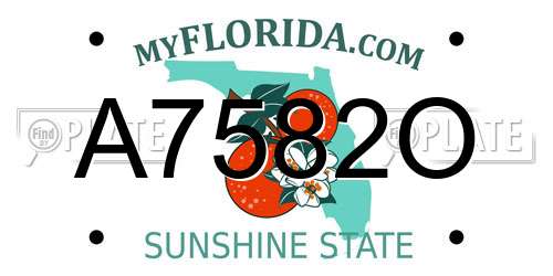 A7582O Florida License Plate