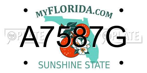 A7587G Florida License Plate