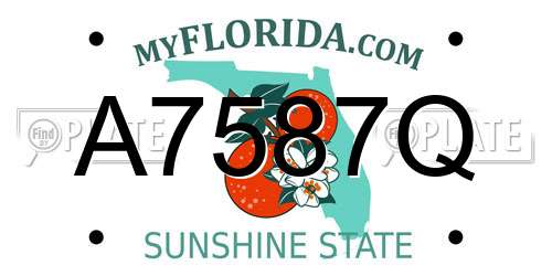 A7587Q Florida License Plate
