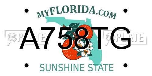 A758TG Florida License Plate