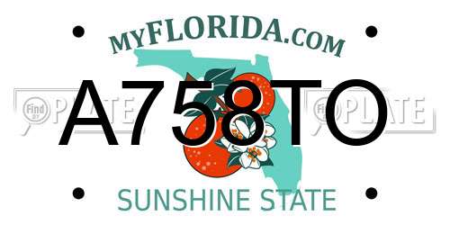 A758TO Florida License Plate