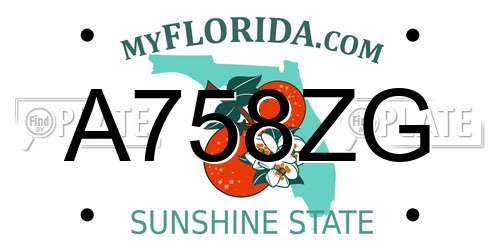 A758ZG Florida License Plate
