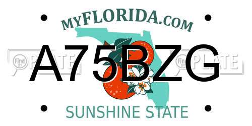 A75BZG Florida License Plate