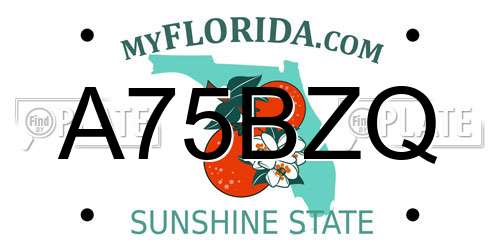 A75BZQ Florida License Plate