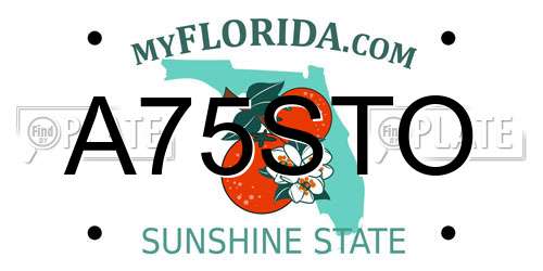 A75STO Florida License Plate