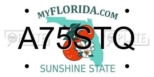 A75STQ Florida License Plate