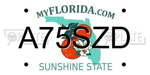 A75SZD Florida License Plate