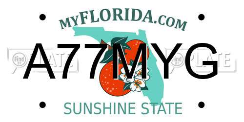 A77MYG Florida License Plate