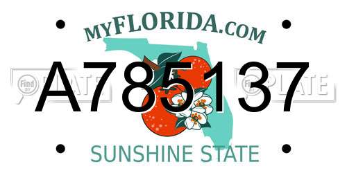 A785137 Florida License Plate