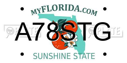 A78STG Florida License Plate