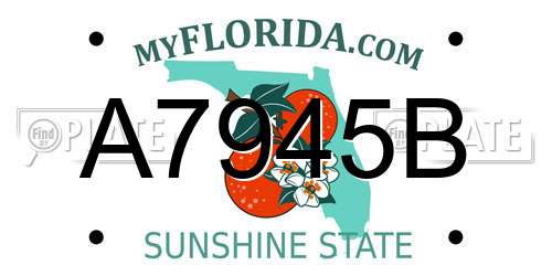 A7945B Florida License Plate