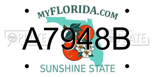 A7948B Florida License Plate