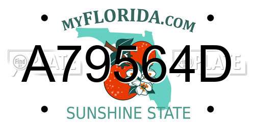 A79564D Florida License Plate