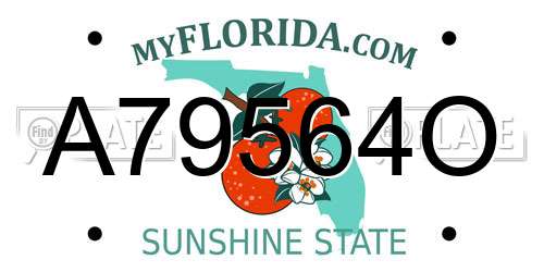 A79564O Florida License Plate