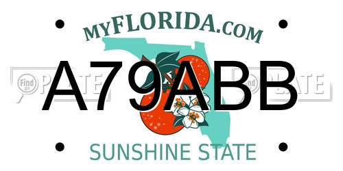 A79ABB Florida License Plate
