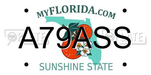 A79ASS Florida License Plate