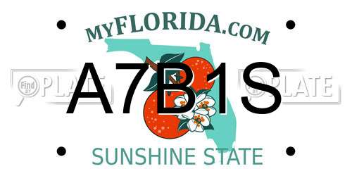 A7B1S Florida License Plate