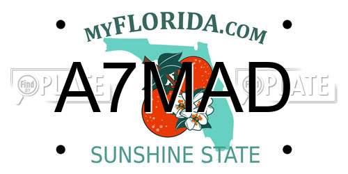 A7MAD Florida License Plate