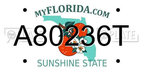 A80236T Florida License Plate
