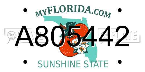 A805442 Florida License Plate