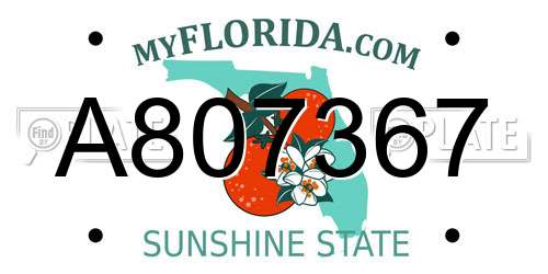 A807367 Florida License Plate