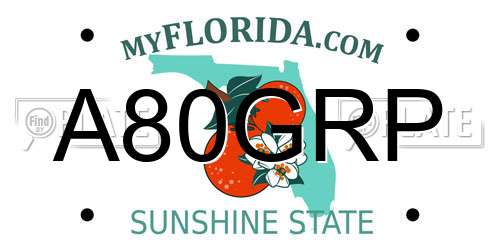 A80GRP Florida License Plate