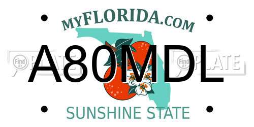 A80MDL Florida License Plate