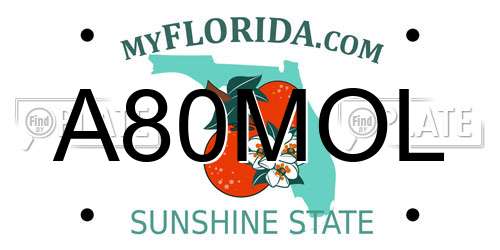 A80MOL Florida License Plate
