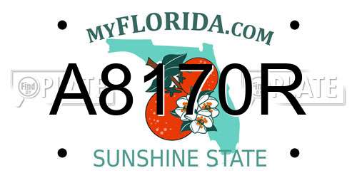 A8170R Florida License Plate