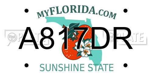 A817DR Florida License Plate