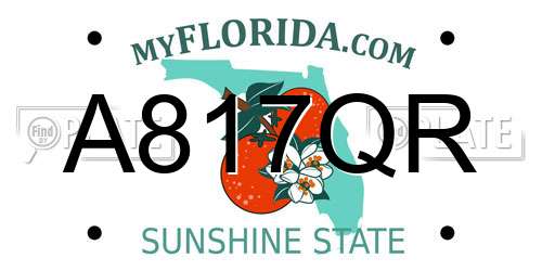 A817QR Florida License Plate